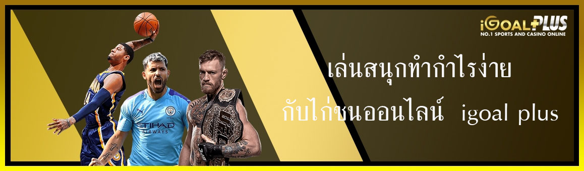 เล่นสนุกทำกำไรง่ายกับไก่ชนออนไลน์  igoal plus